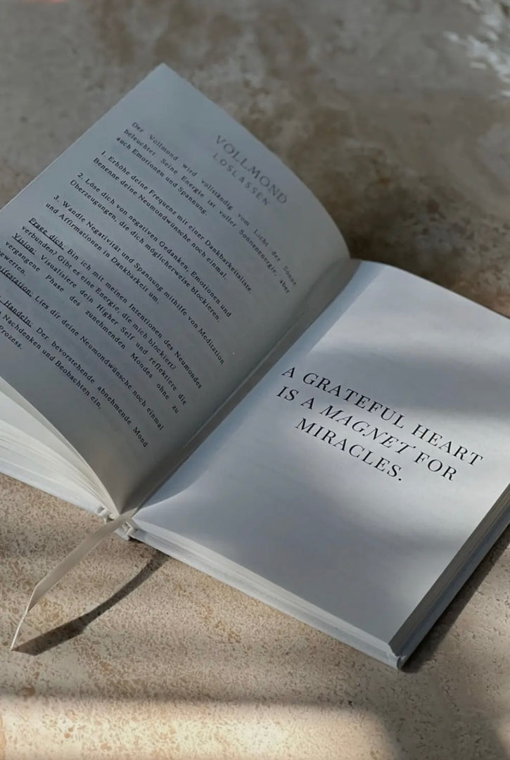 Manifestation Journal
